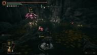 This cave is the next destination - you're about halfway to the Cerulean Coast (Image via FromSoftware)